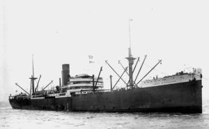 Port Nicholson of the Port Line Ltd