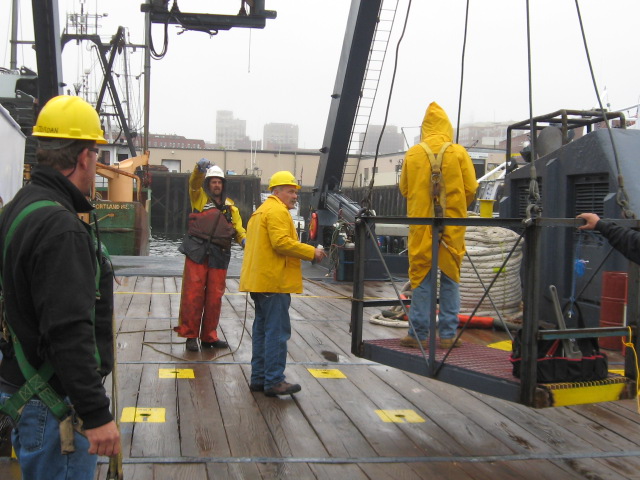 Our first cold wet summer in Maine